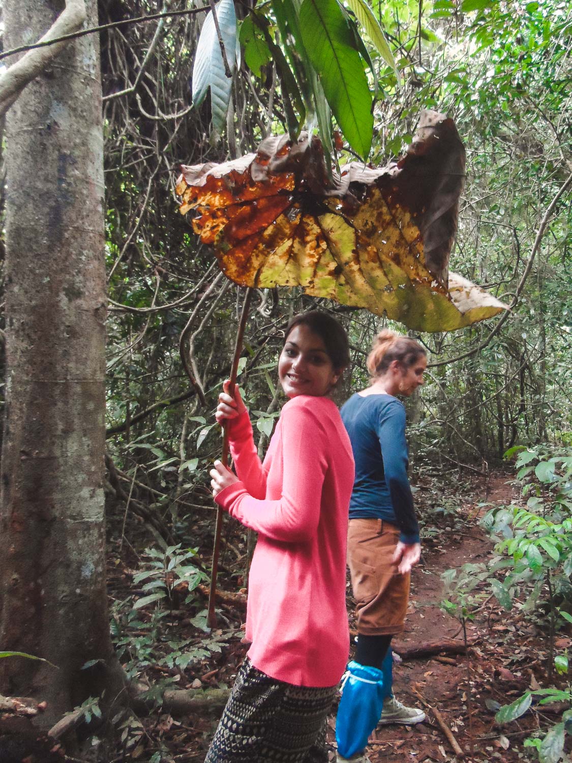 Dorie im Khai Yai Nationalpark mit Blatt-Schirm