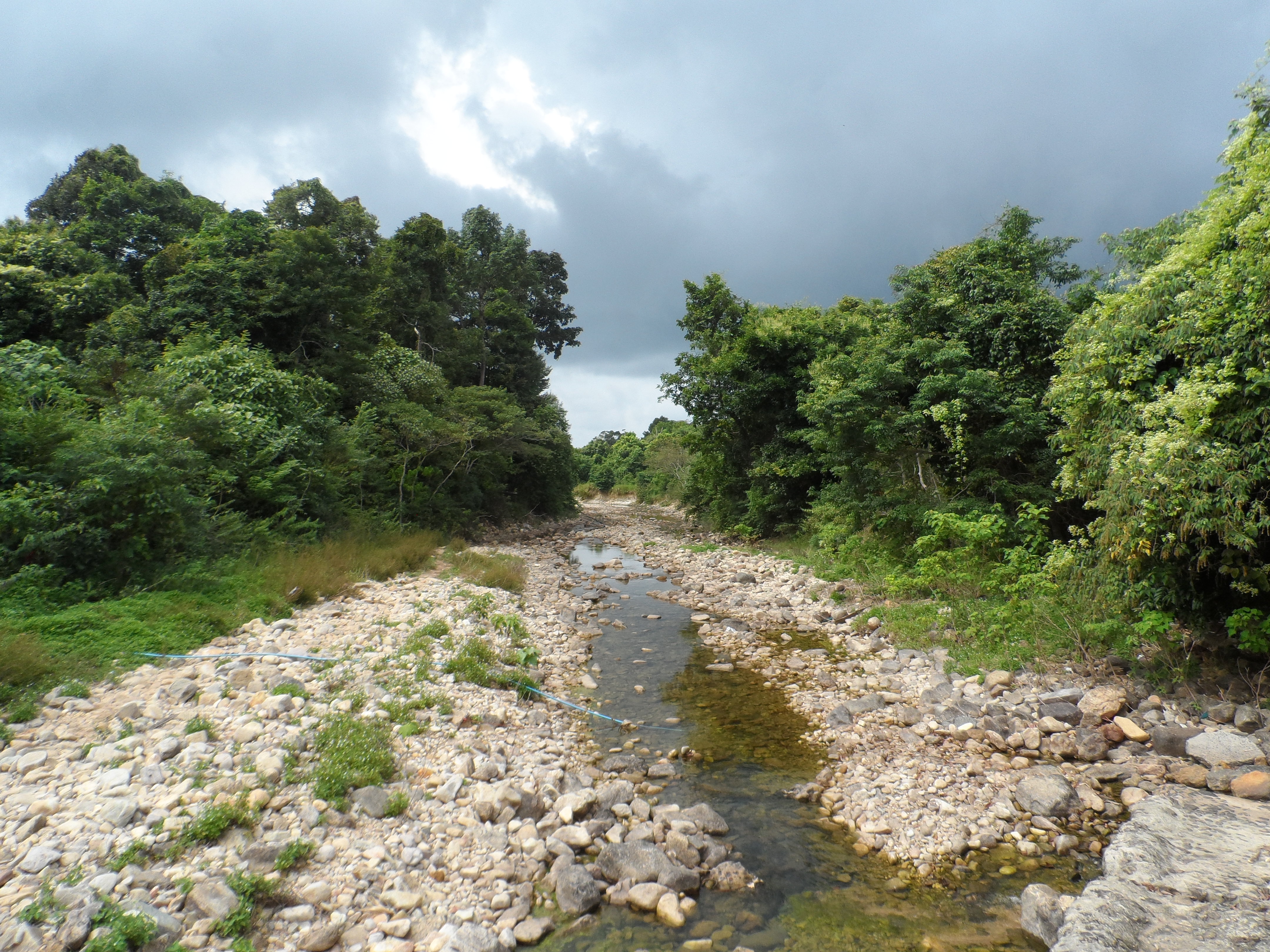 Landschaft auf Koh Chang in Thailand