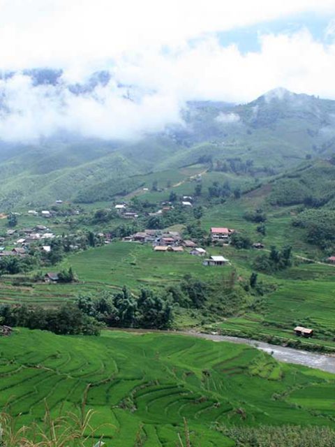Reisterrassen und grüne Hügel bei Sa Pa in Vietnam
