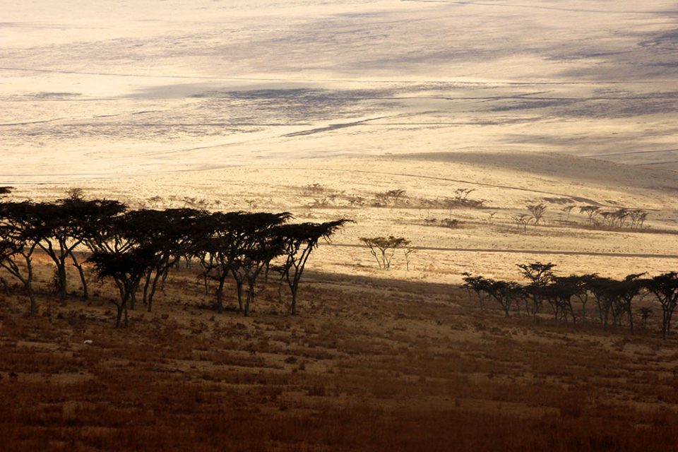 Blick in den Ngorongoro Krater in Tansania