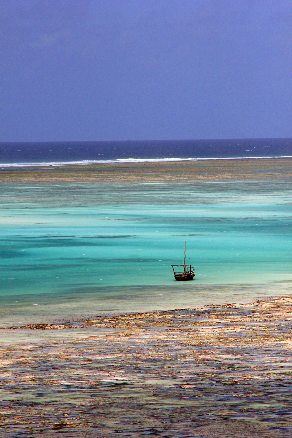 Strand und Palmen auf Sansibar