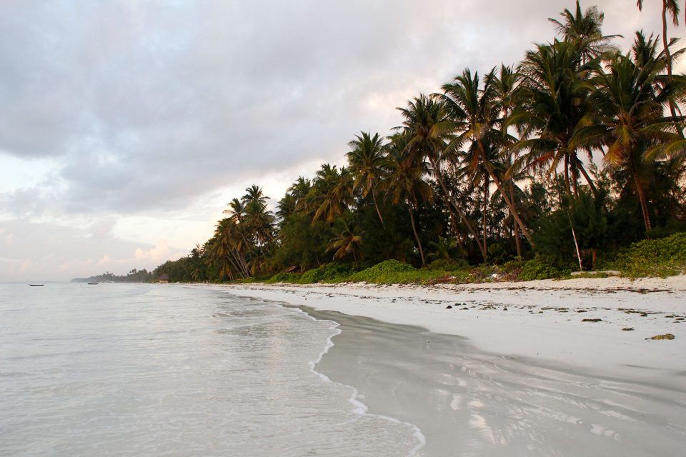Bwejuu Beach Zanzibar 