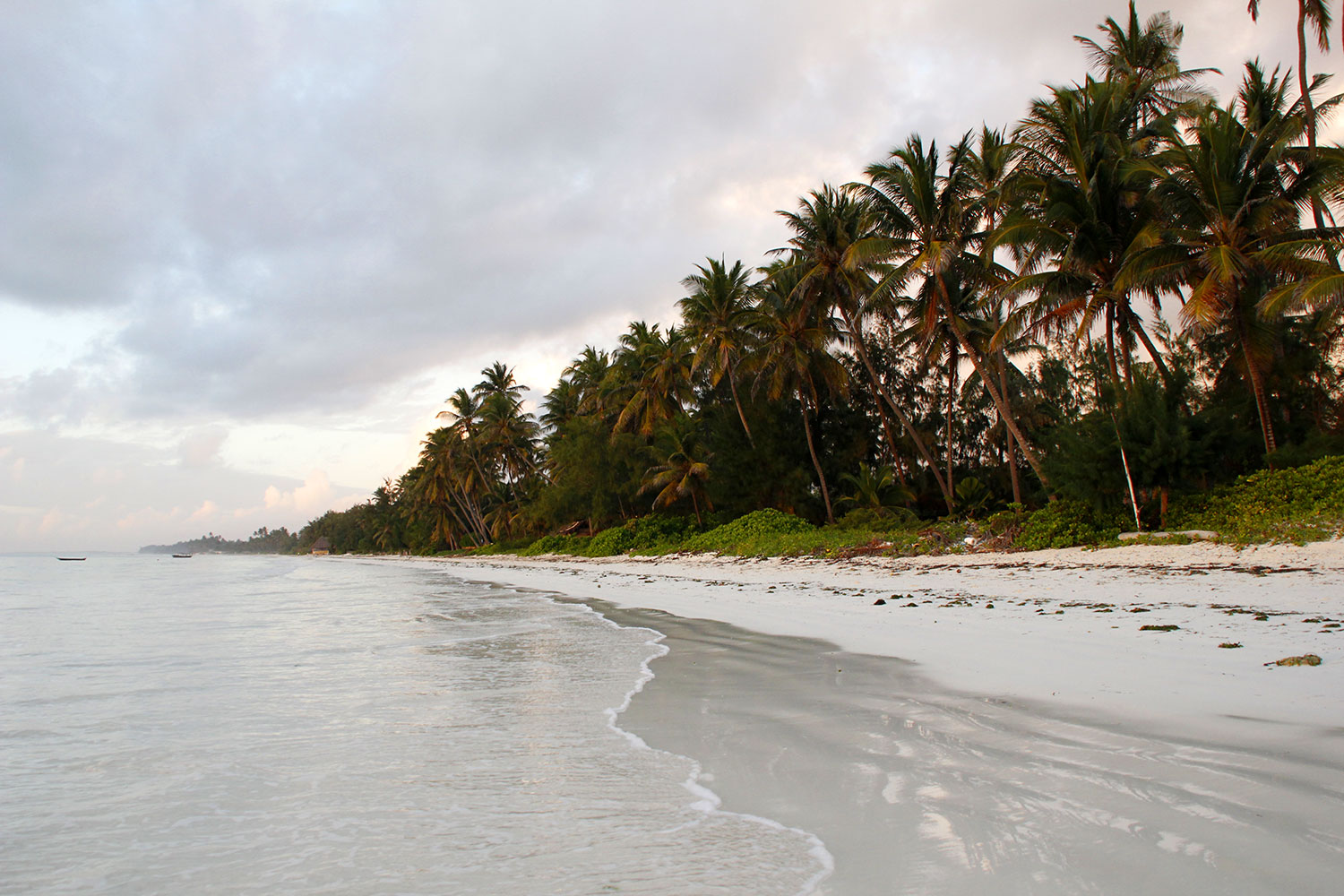 Leerer Strand bei Bwejuu auf Sansibar