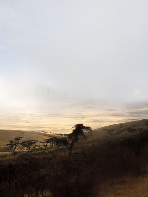 Nebel und Sonnenlicht im Ngorongoro Krater in Tansania