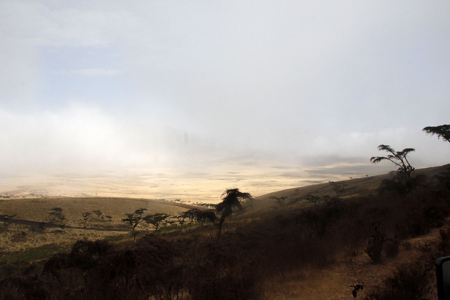 Nebel und Sonnenlicht im Ngorongoro Krater in Tansania