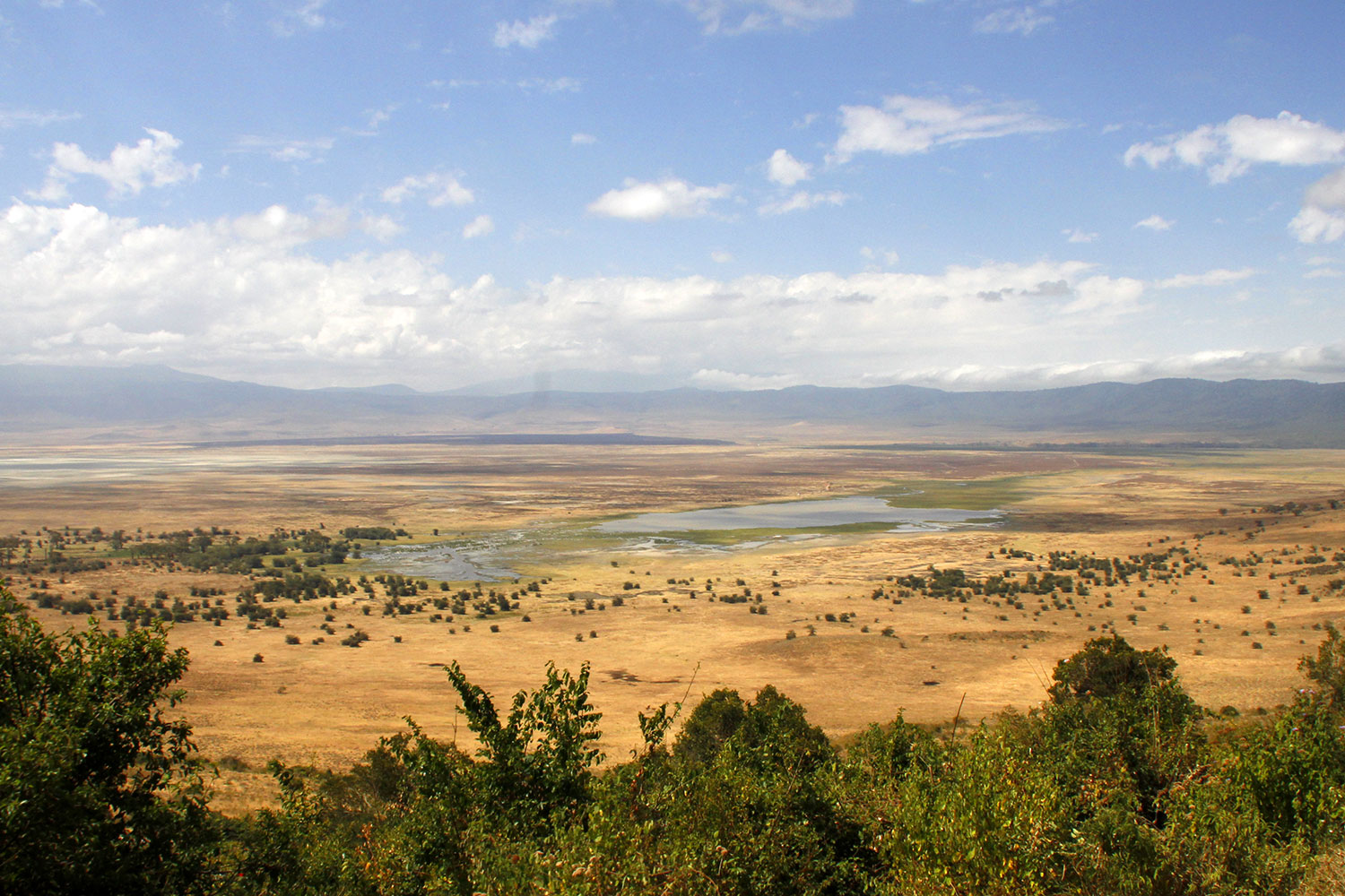 Der Ngorongoro Krater von oben
