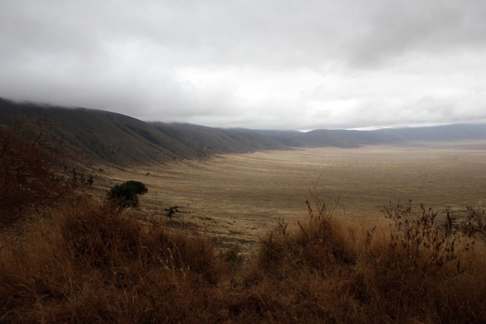 Blick am Rand des Ngorongoro Kraters entlang