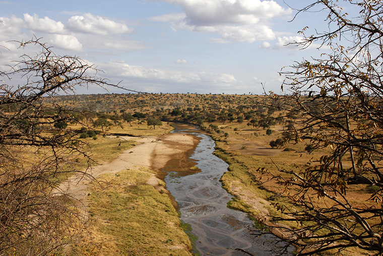 Fluss und Lanschaft im Tarangire Nationalpark von oben
