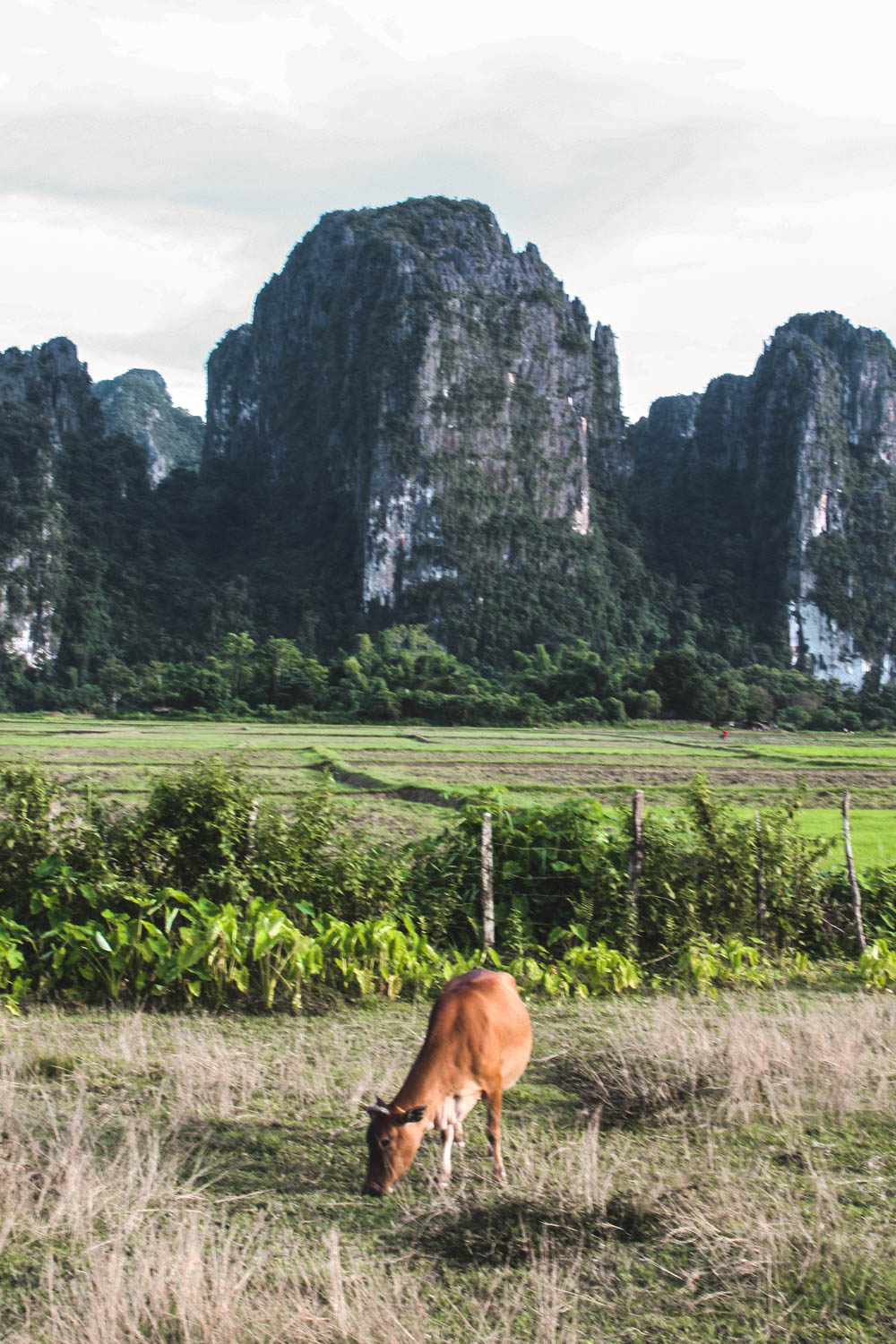 Karstlandschaft und Straße bei Vang Vieng