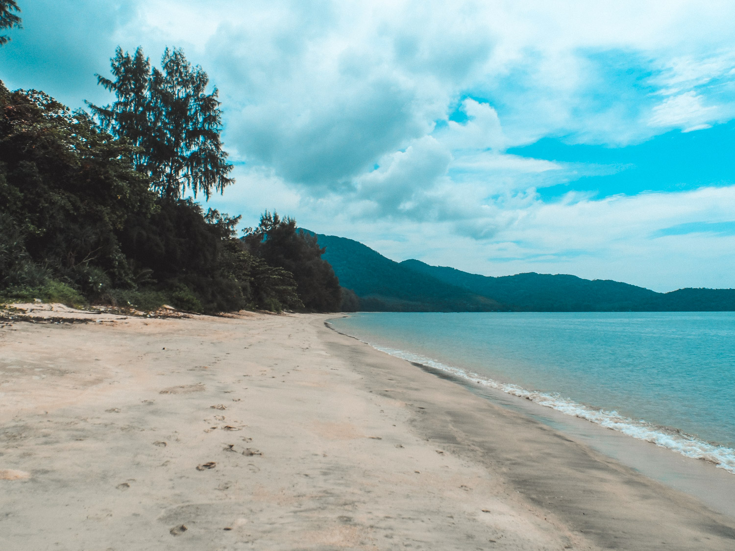 Palmen und Strand auf Koh Chang bei Ranong