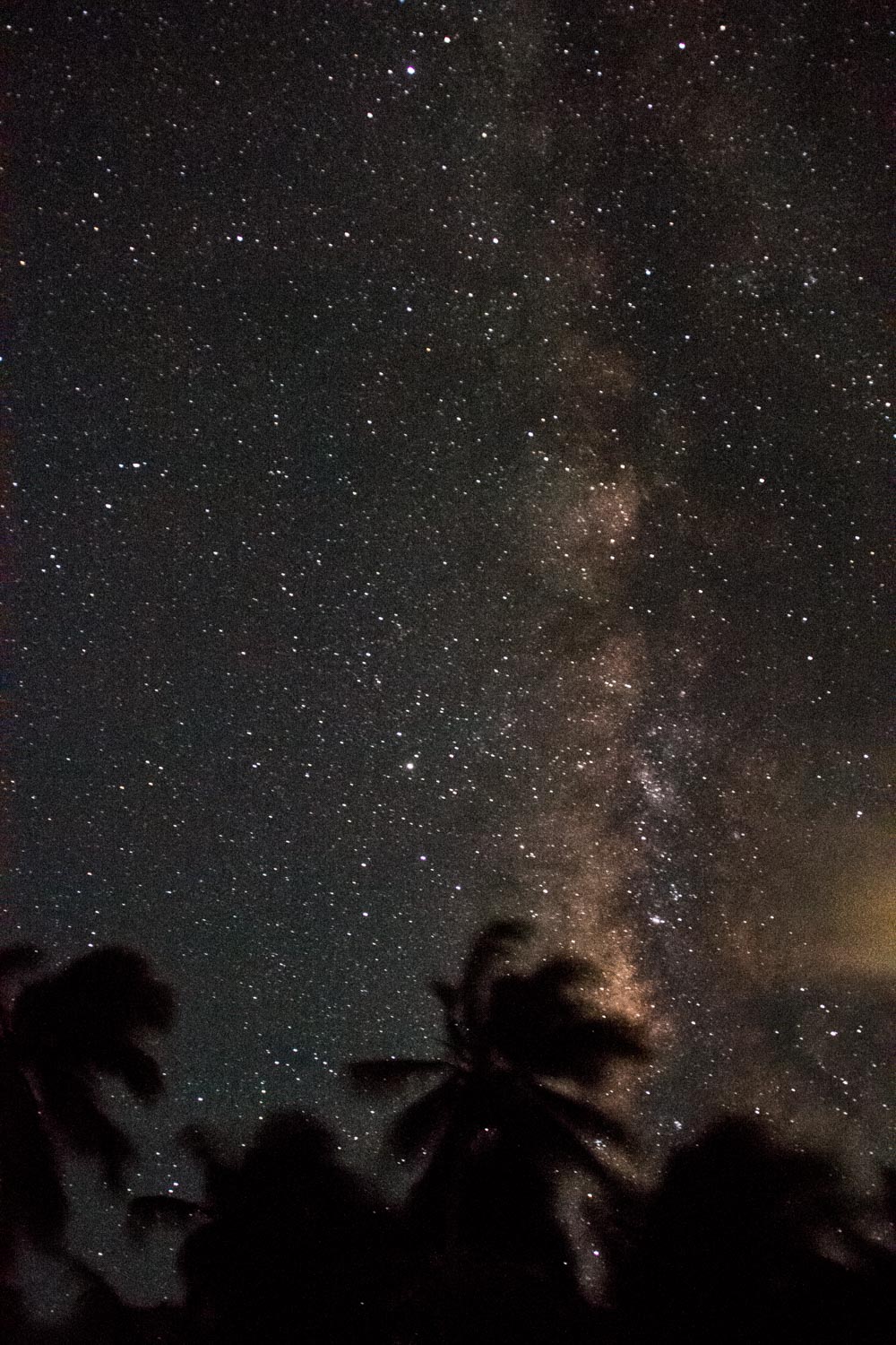 Nachthimmel über Tobacco Caye in Belize