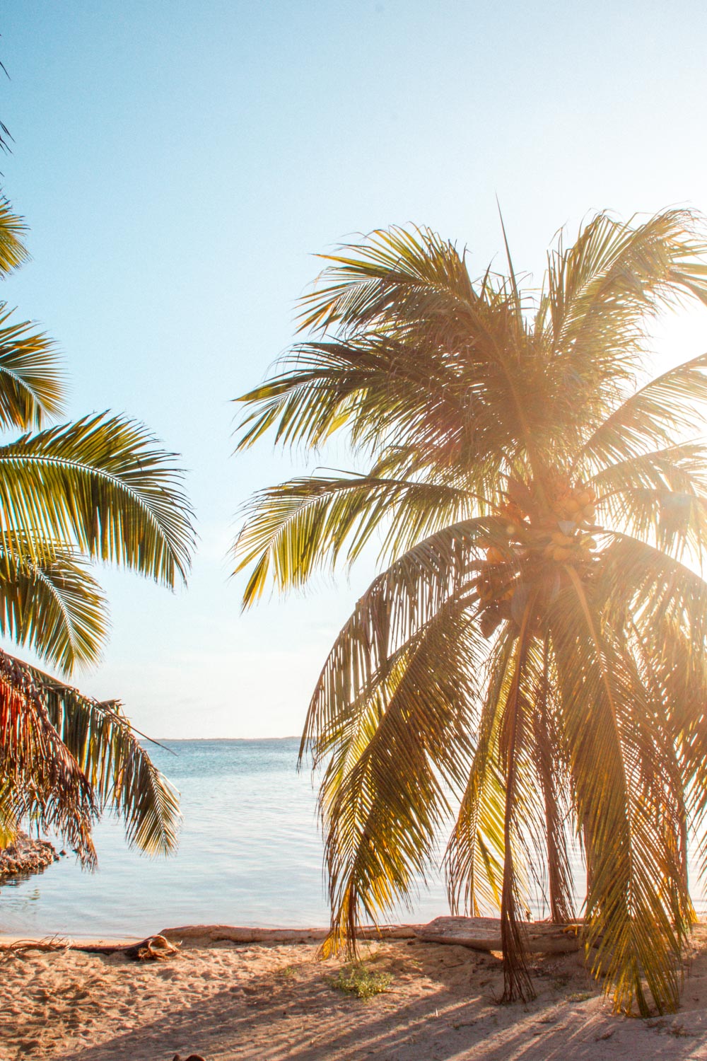 Steg und Meer auf Tobacco Caye