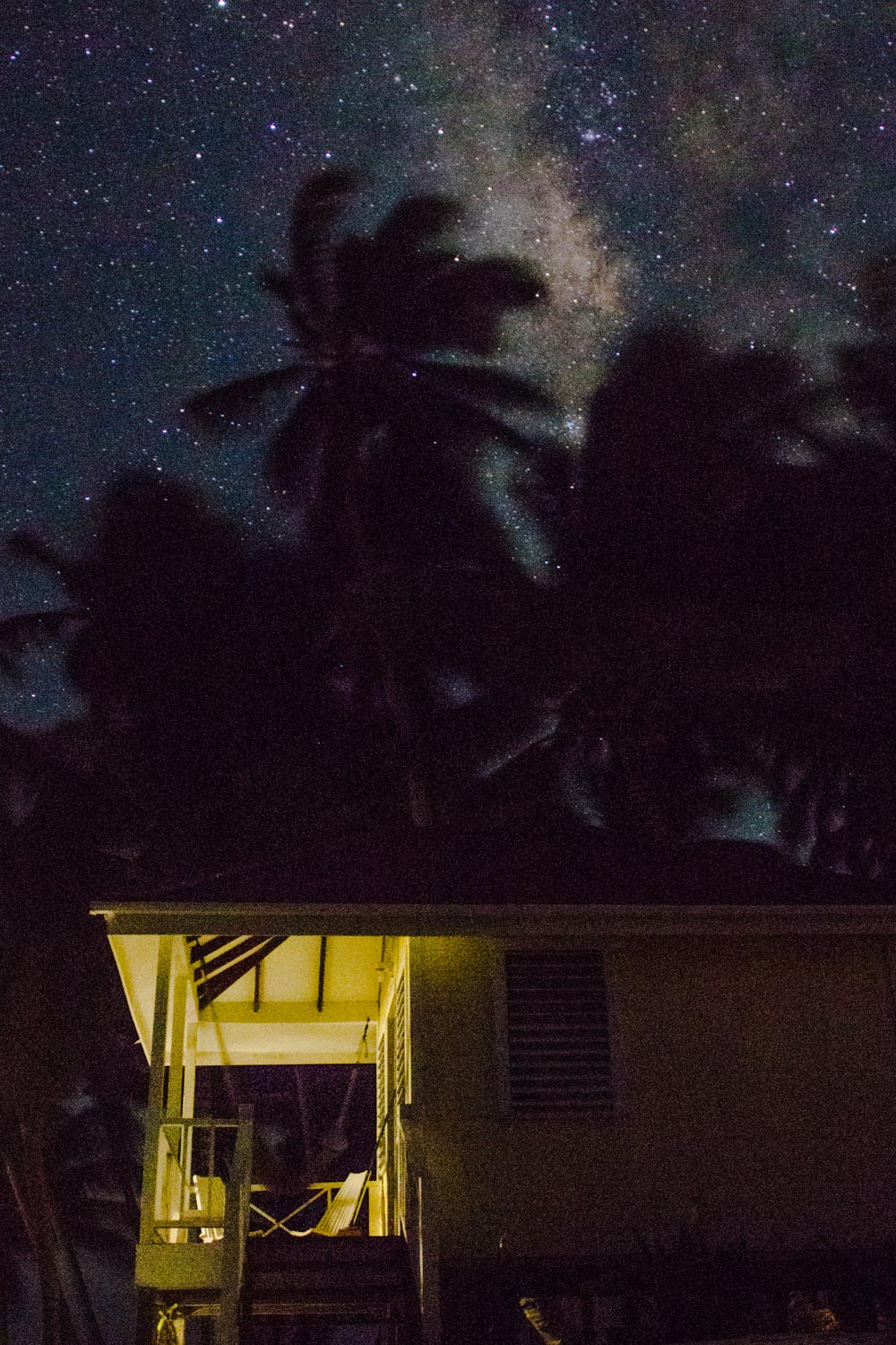 Blick auf das Meer rund um Tobacco Caye