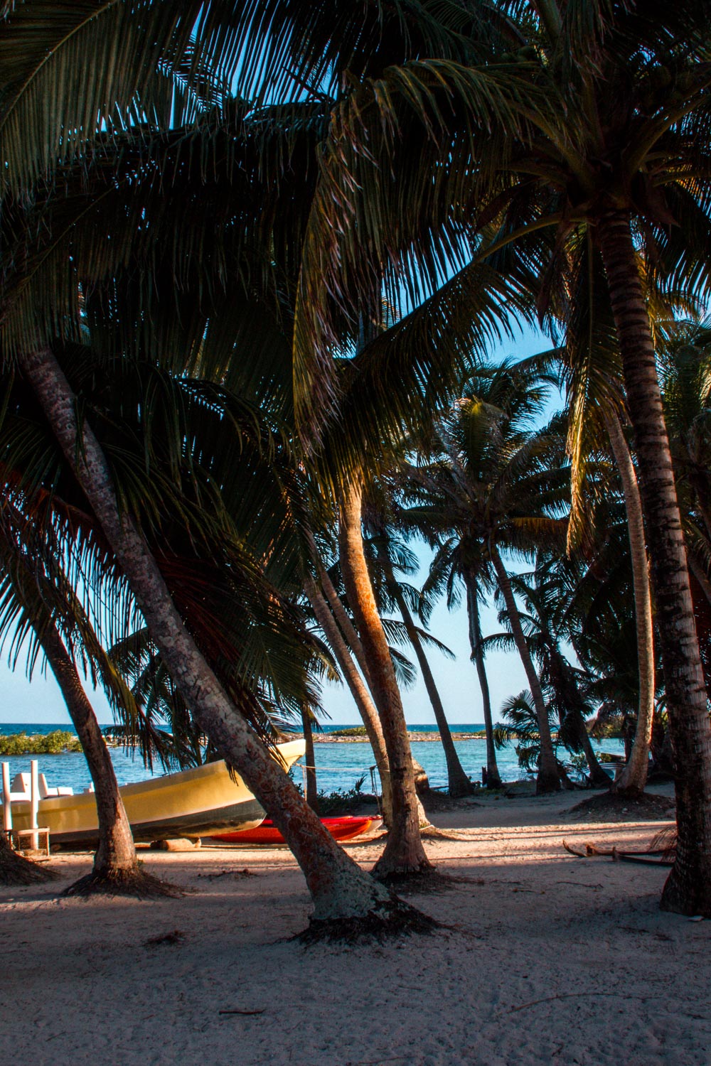 Blick auf Tobacco Caye in Belize