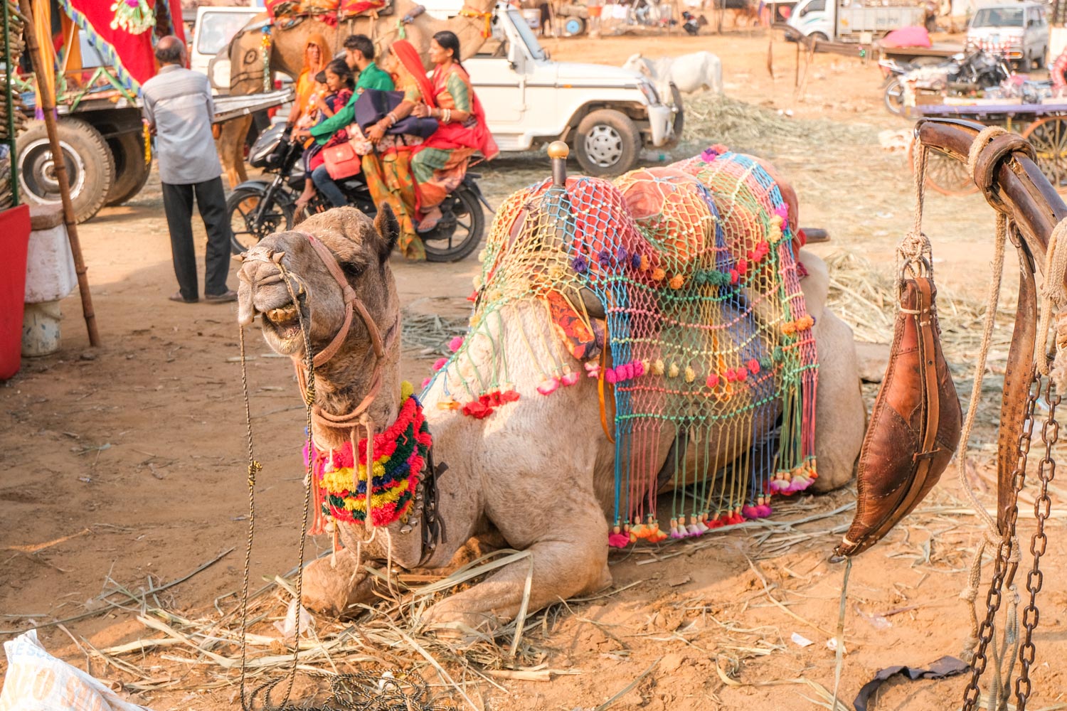 Pushkar Sehenswürdigkeiten und Travelguide The Dorie Blog