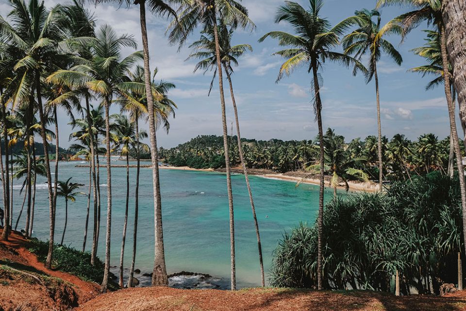 Coconut Tree Hill Sri Lanka